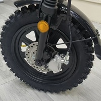 Vélo électrique russe modèle Yilan Princess 16 pouces, moteur arrière NFC, autonomie 55-65 km, pneus neige, assistance électrique, batterie lithium.