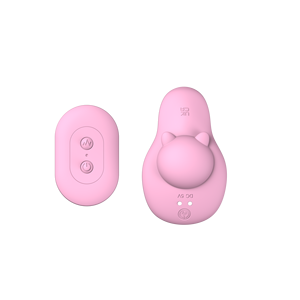 Sexueel Speelgoed Afstandsbediening Siliconen Vibrerende Ei Vrouwen Slipje 10 Snelheden Clitoris Stimulator Panty Vibrator Vrouwen Speelgoed - Product Image 1