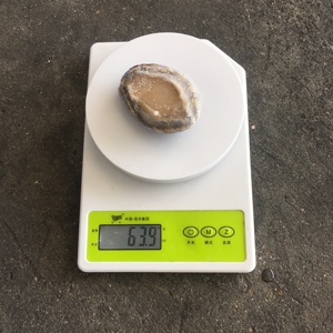 Cuit congelé d'ormeau en coquille - Product Image 5