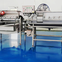 Máquina de lavado por corrientes cruzadas HiLeafy para verduras, equipo de limpieza por burbujas para espinacas y lechuga, para procesamiento en fábricas de ensaladas