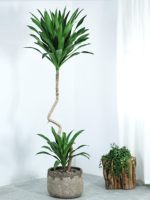 Pot Bunga Vintage Retro Nostalgia Bentuk Kaki Bebek Tanaman Teratai Hijau untuk Ruang Tamu dan Penggunaan Luar Ruangan