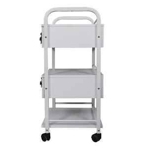 Grosir modis putih penata rambut Salon kecantikan Spa bingkai lukisan perabotan keranjang penyimpanan troli Salon dengan roda bergulir - Product Image 6