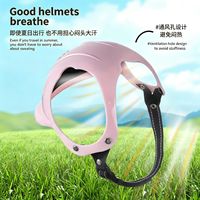Casque de sécurité classique imperméable pour chien, avec oreilles apparentes, pour Border Collie, Corgi, moto, vélo, extérieur, vente en gros