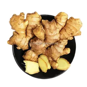 black ginger price /fresh ginger 10kg/ctn