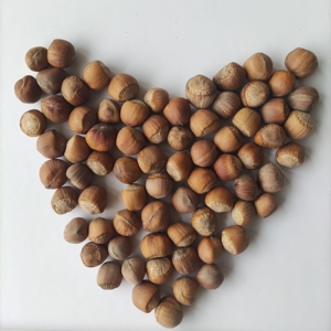 Noix de hêtre crues biologiques avec emballage personnalisé, approvisionnement direct de l'origine - Product Image 3