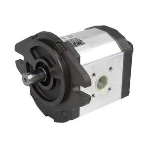 <span class=keywords><strong>GR33</strong></span> Servo Pompe à vis à déplacement constant Machine de moulage par injection Pompe à huile Servo Pompe hydraulique à déplacement constant - Product Image 1