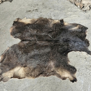 Wholesale <b>Raw</b> Wet Salted Buffalo Hides and Cowhides Double Faced Full Thickness for Durable Leather Goods Production - Product Image 1