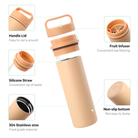 Bouteille d'eau en acier inoxydable avec revêtement en poudre antidérapant, ODM/OEM, avec couvercle à poignée, paille et infuseur à thé, et extérieur anti-transpiration