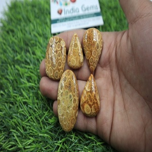 Cabujón de Coral Fósil de Piedra Preciosa Natural, Piedras Decorativas Únicas para Joyería, Manualidades y Decoración del Hogar, por Gramo - Product Image 2