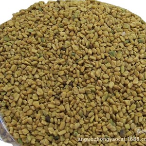Fournisseur en gros d'herbes chinoises : Graines de fenugrec séchées en vrac, Graines de <span class=keywords><strong>lupin</strong></span> (haricots amers) 1000 grammes - Product Image 5