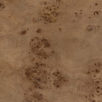 Table basse ronde en bois plaqué burl minimaliste de luxe pour la décoration du salon