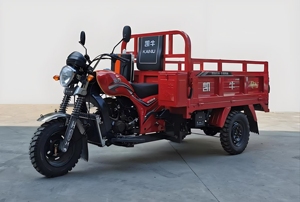 รถจักรยานยนต์สามล้อสามล้อสำหรับขนส่งรถสามล้อมอเตอร์ไซค์3ล้อกำลังแรงที่สุด - Product Image 2