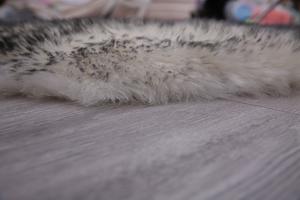 Housse de chaise de luxe en fausse peau de mouton douce, coussin de siège, tapis de fourrure en <span class=keywords><strong>peluche</strong></span> pour chambre à coucher, salon - Product Image 4