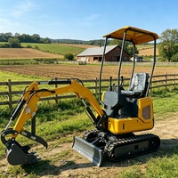 Remises Fabricant Mini-Excavatrice 0,8 Tonne sur Chenilles pour Ferme et Jardin, Micro-Pelle Entièrement Hydraulique, Haute Qualité, Diesel, Petite Excavatrice