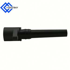 西湾点火线圈 4G4E-12A366-AA 适用于阿斯顿·马丁 	 DB9 敞篷车 2004-2016 6.0 V12 - Product Image 5