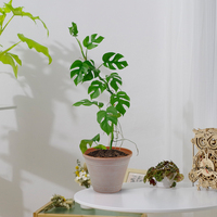 Pot de fleurs suspendu en plastique léger de style terre cuite, taille personnalisable, pour plantes succulentes, herbes, marque RTI, jardin extérieur