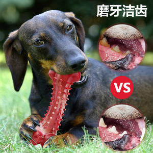 Jouet à mâcher pour chien, en caoutchouc, résistant aux morsures, pour le nettoyage des dents, brosses à dents, bâtons à mâcher, résistant à l'usure, pour grands chiens - Product Image 2