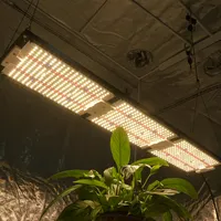 Kingbrite - Full Spectrum Plant Growing Lamp
