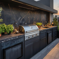 Meuble de cuisine extérieur moderne en acier inoxydable de qualité supérieure avec évier, crédence, tiroir coulissant et robinet