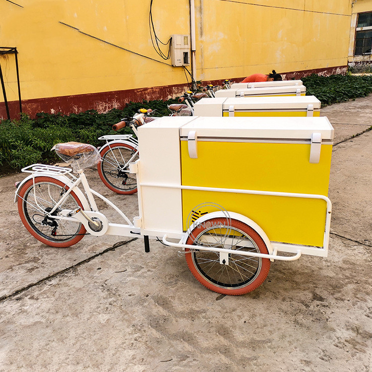 户外移动冰淇淋自行车电动冰柜榨汁机自动售货三轮车热狗披萨推车亭