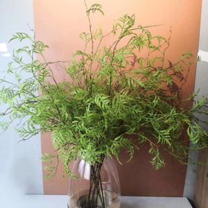 Feuille de fougère persane artificielle à longue tige, branche de verdure tombante, feuilles artificielles dégarnies pour vase, décoration florale, mariage, maison, hôtel - Product Image 2