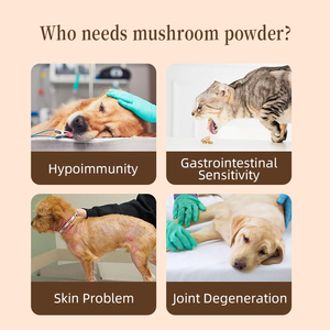 OEM/ODM для кошек и собак, усилитель пищеварения и иммунитета с порошком добавок шиитаке и <span class=keywords><strong>Ganoderma</strong></span> Lucidum - Product Image 5