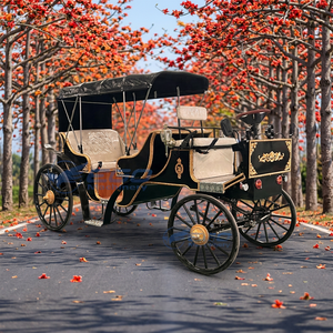 Nouvelle carrosse électrique royale de tourisme, noire avec sièges blancs, durable et exquise - Product Image 1