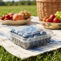 4,4 oz Blauwe Bes Plastic Recyclebare PET Clamshell Verpakking 125g Fruit Transparante Framboos Kersen Bramen Bessen Verpakkingen