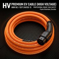Kabel Pengisian Daya EV Daya Tinggi 22kw dan Harness Kabel Tipe 2 GB/T dan CCS2 untuk Stasiun Pengisian Cepat Level 2 dan DC