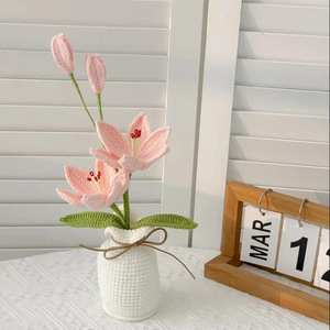 <span class=keywords><strong>Flor</strong></span> <span class=keywords><strong>de</strong></span> lirio <span class=keywords><strong>de</strong></span> <span class=keywords><strong>doble</strong></span> cabeza hecha a mano, tejida con hilo, para decoración <span class=keywords><strong>de</strong></span> escritorio, bonsái <span class=keywords><strong>de</strong></span> mesa, adorno para el hogar, venta al por mayor, <span class=keywords><strong>flor</strong></span> <span class=keywords><strong>de</strong></span> <span class=keywords><strong>ganchillo</strong></span> - Product Image 3