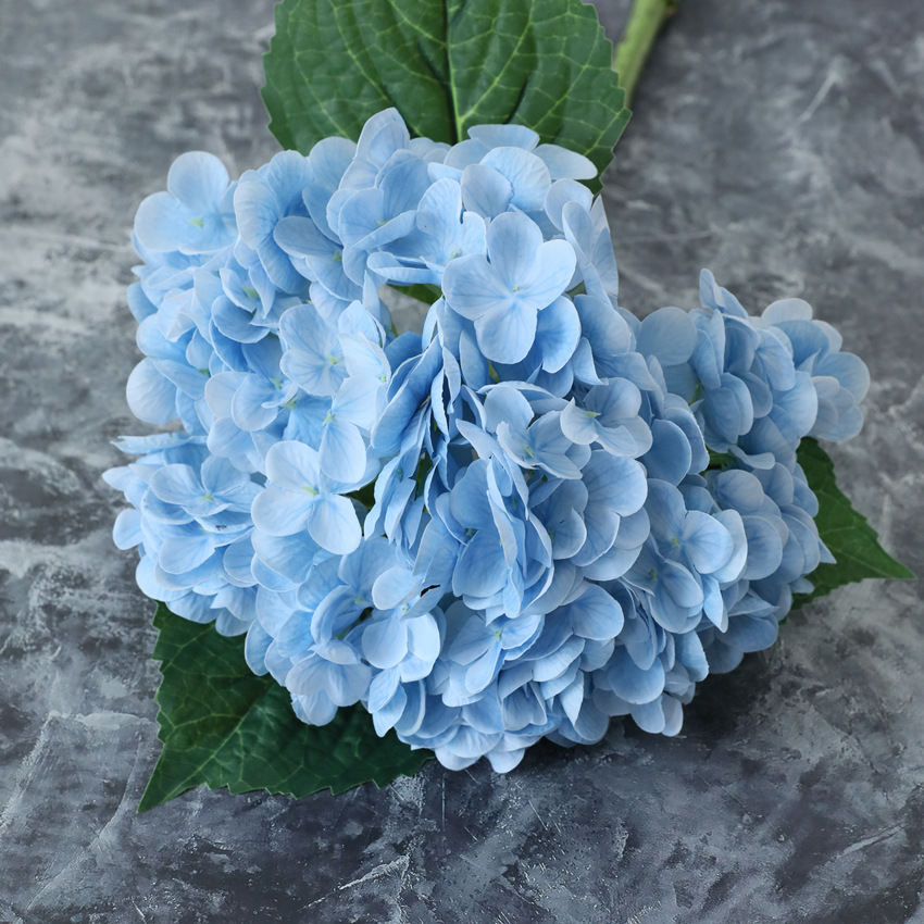 Bleu clair