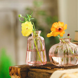 <span class=keywords><strong>Vaso</strong></span> per boccioli <span class=keywords><strong>di</strong></span> <span class=keywords><strong>fiori</strong></span> <span class=keywords><strong>di</strong></span> <span class=keywords><strong>zucca</strong></span> piccolo <span class=keywords><strong>di</strong></span> colore rosa Mini <span class=keywords><strong>vaso</strong></span> da tavolo <span class=keywords><strong>in</strong></span> vetro riciclato <span class=keywords><strong>di</strong></span> colore diverso - Product Image 2