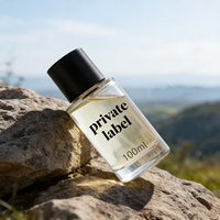 Parfum de créateur unisexe de haute qualité, eau de parfum personnalisée, longue durée, fruité, boisé, design attrayant, style luxueux, envoûtant