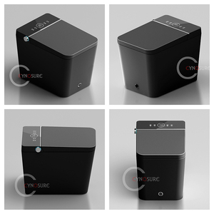 Minimalist <b>Black</b> Color Square Sanitary Ware Ceramic Wc Floor Mounted Smart Toilet Sanitarios for Household Use CY-F1B, CY-F1B Au - Product Image 1