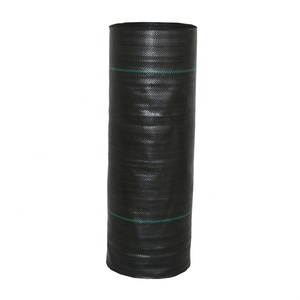 Alfombra de plástico antimaleza para jardín agrícola, cubierta de suelo de película, color negro - Product Image 2