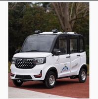 Coche Eléctrico Personalizado de 4 Ruedas, Vehículo Eléctrico Cerrado, Vehículo de Nueva Energía, Mini Coche Eléctrico de 4 Ruedas, Coches Pequeños para Adultos