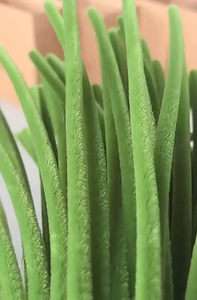 8mm Grosso <span class=keywords><strong>Chenille</strong></span> Hastes Limpadores De Tubos para Arte e <span class=keywords><strong>DIY</strong></span> Decorações Criativas Artesanato Fazendo Máquina - Product Image 3