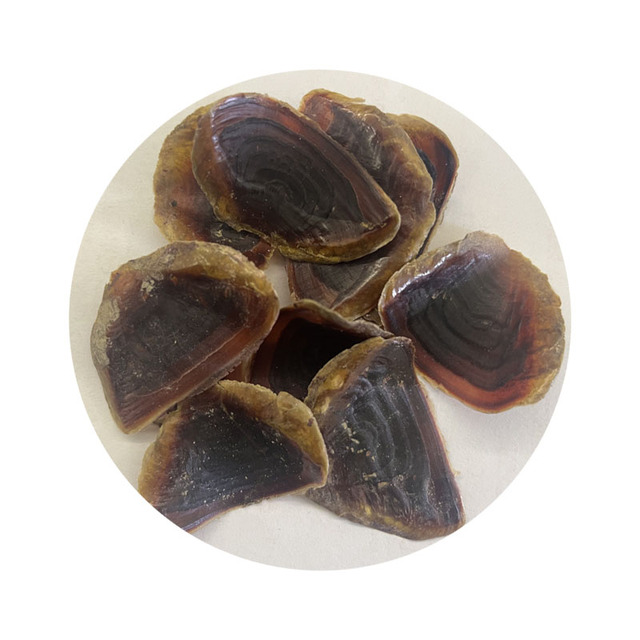 Conch Shell in Stock Oem Bulk Musk Ambrette Powder Shell Cap 10Tons 20 Fcl