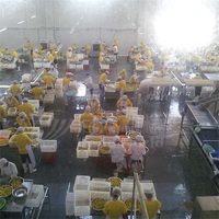 Kant En Klare Gele Perzik Inblikkende Productielijn Omvat Belangrijke Zuivelverwerkingsmachines Voor Verse Fruit Ingeblikte Producten