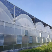 YGreenhouse Agriculture Serre Verte Tomate Hydroponique Film Plastique Couvert Serre