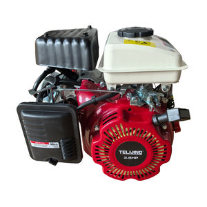 Оптовая продажа: Бензиновый двигатель TLJ 3.5 л.с., одноцилиндровый, с воздушным охлаждением, OHV, 4-тактный, для квадроциклов, мини-картингов и сельскохозяйственных опрыскивателей - Product Image 2