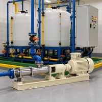 Pompe à vis simple 10 m³/h 1,2 MPa à entraînement direct par moteur électrique pour station d'épuration des eaux usées certifiée CE ISO 9001