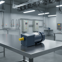 Moteur à induction à vitesse élevée personnalisé de 60 W, petit moteur à induction, contrôle de la vitesse, 220 V monophasé, 50 Hz/60 Hz, efficacité IE3, moteur à engrenages à courant alternatif