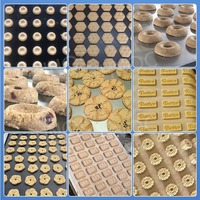 Petite machine de fabrication de biscuits sablés rotative, machine à fabriquer des biscuits aux noix, prix de la machine de fabrication de biscuits
