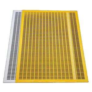 10 pièces apiculture ruche reine Anti évasion plat Type diviser plastique 41*51cm barrière feuille panneau abeille ferme Apis Mellifera fournitures