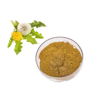 Natural Green Herbal Extract 3%Crude Polysaccharide Dandelion Extract Powder