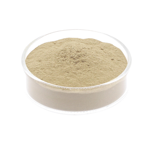 Polvere di probiotici di alta qualità per mangimi animali completamente solubile in acqua Bacillus Licheniformis - Product Image 2