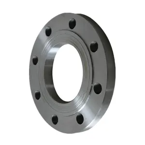 Alta Qualidade Rf Pad Flange En1092-1 Pn16 Ss316 Flange Preço