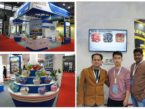 16-8-<span class=keywords><strong>28</strong></span> Engrais soluble dans l'eau à haute teneur en potassium avant l'extraction de fruits Sprint king - Product Image 5