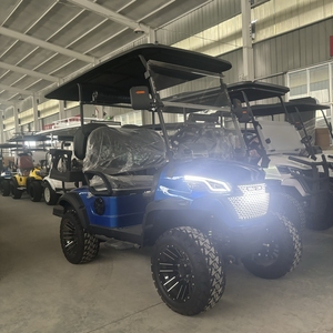 WELIFTRICH Voiturette de golf électrique personnalisée 2 + 2 sièges très vendue Voiturette de golf électrique club 2 passagers - Product Image 1